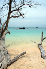 andaman beach xviii