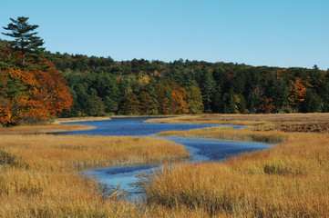 fall wetlands