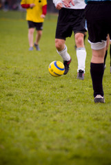 Fototapeta premium soccer players