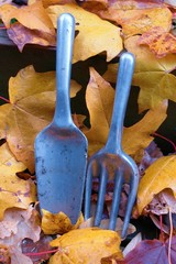 fork and spade