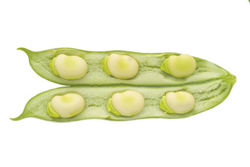 six broad beans in a pod