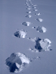 snowy footprints