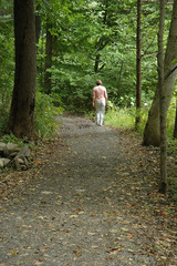 a walk in the woods