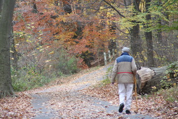 walk in the park