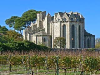 abbaye de vignogoul