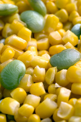 succotash