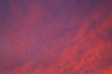 red and purple background
