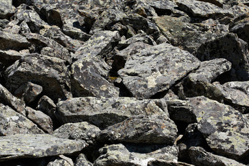 stone background
