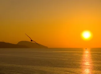 Photo sur Plexiglas Mer / coucher de soleil dawn above the sea