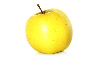 simply a golden ?