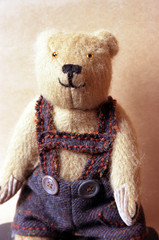 toys, portrait of the teddy bear