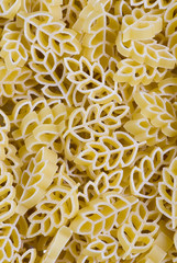 pasta texture 1