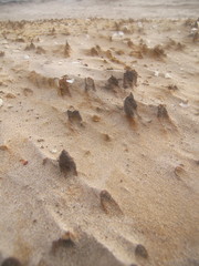 sand details