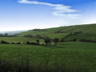 contrail landscape