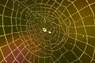 diamond net