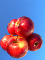 obst