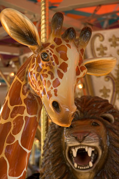 carousel giraffe