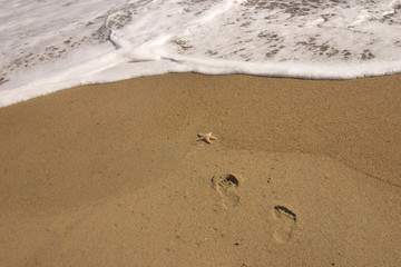 footprints and seafoam