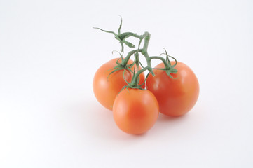 vine ripened tomatoes
