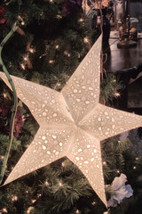 christmas star
