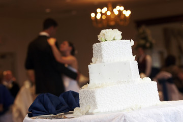 bride groom cake