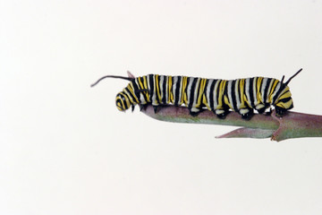 allmost there, bug 3