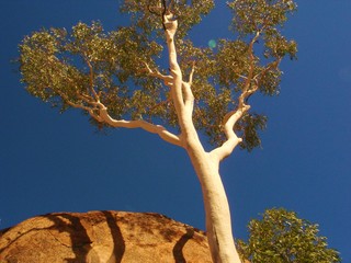 australian outback