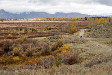 grand teton national park