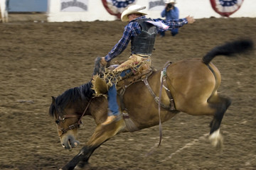 Cowboy riding horse during rodeo show - obrazy, fototapety, plakaty