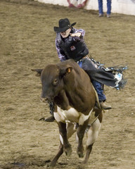 Cowboy riding on bull, rodeo show