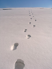 footsteps on the snow