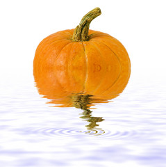 pumpkin isolated on white  background with reflect