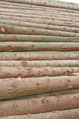 gestapelte baumstämme