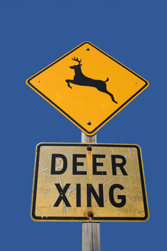 Deer Crossing Sign