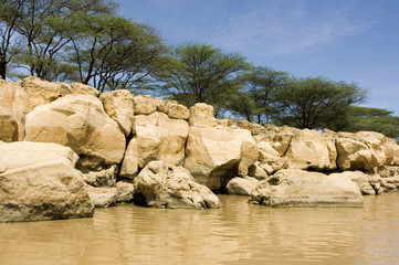 rive du lac baringo