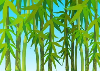 green bamboo on sky