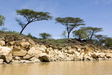 rive du lac baringo