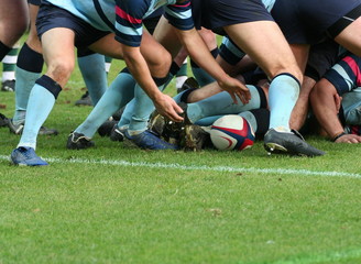 rugby