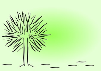 lone barren tree with copyspace