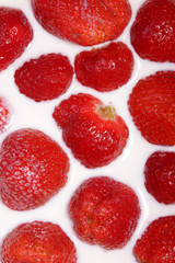 berry, strawberries with milk