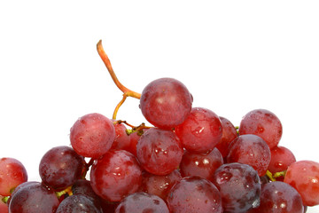 red grape