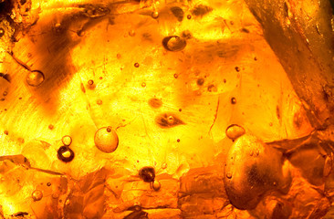 abstract of sunlight passed throughout rosin
