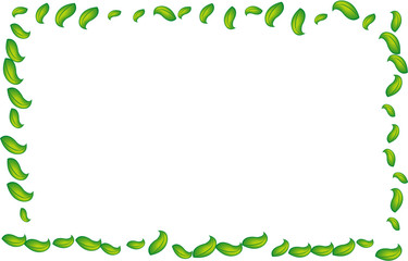 cadre feuilles verte