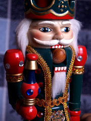 kingly nutcracker cracking a hazelnut