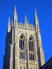 Fototapeta premium cathedral tower