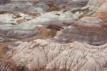 painted desert
