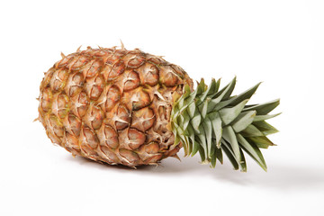 pineapple - ananas