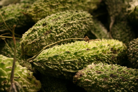 indian bitter melon