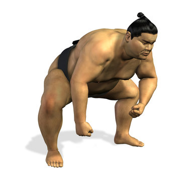 sumo wrestler 2