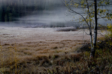 morning mist, toned version